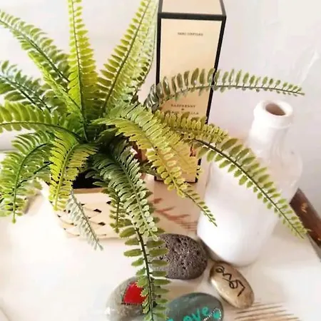 Casa Canaria Moderna