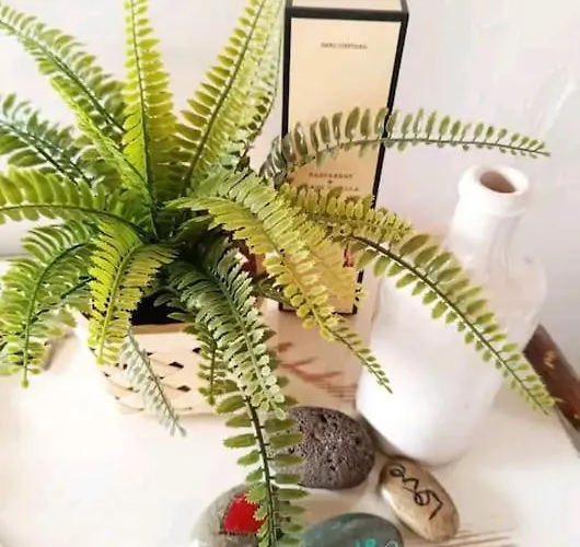 Casa Canaria Moderna